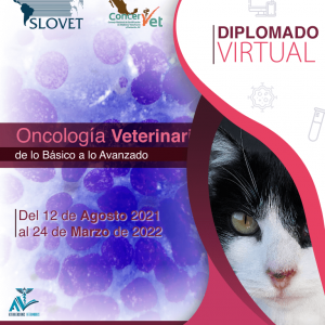 Web_Oncología-Veterinaria_MOBILE