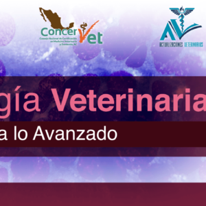 SLIDER_Oncología-Veterinaria-1_SIN-FECHAS