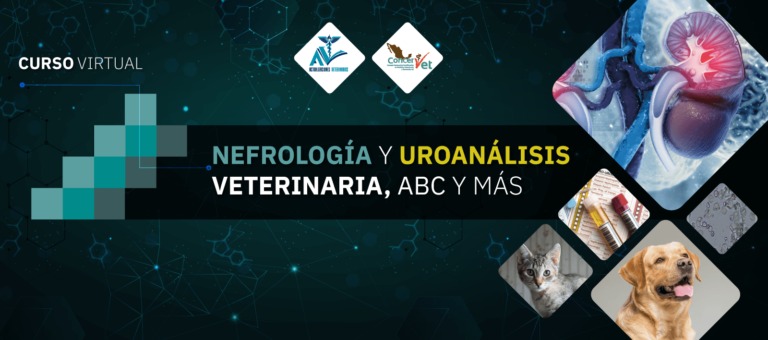 Curso Virtual Nefrología y Uroanálisis Veterinaria ABC y más